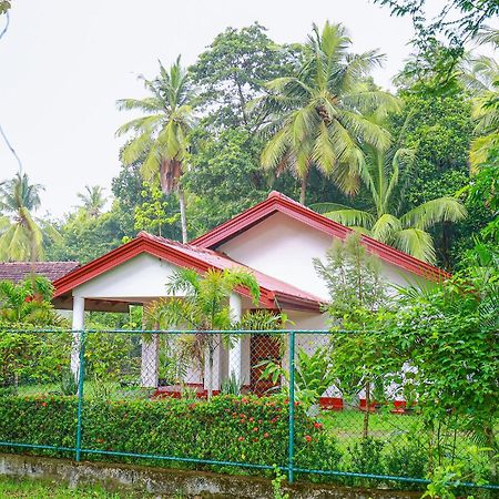 Villa Ravichini Polonnaruwa Luaran gambar