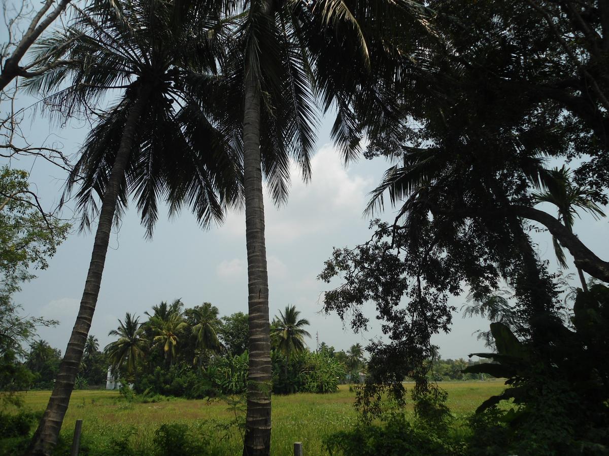 Villa Ravichini Polonnaruwa Luaran gambar